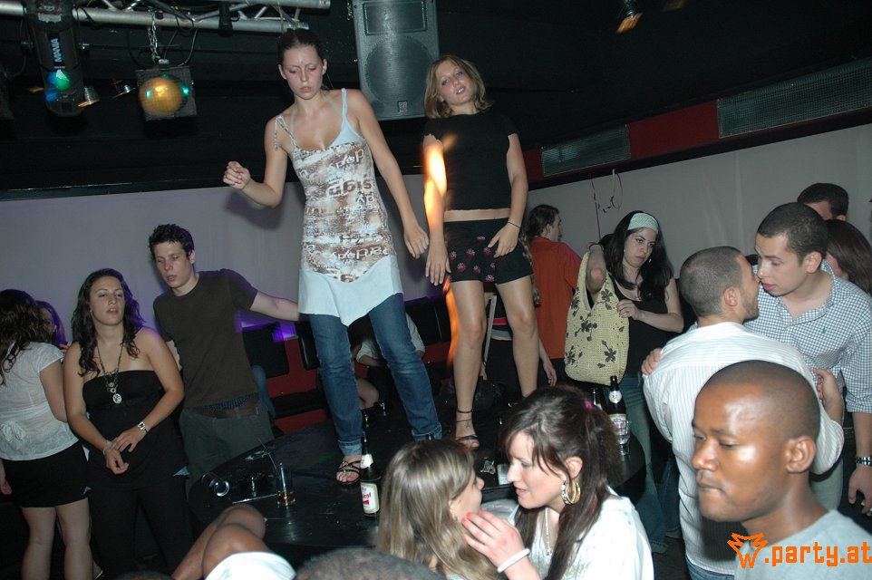 Bild 246