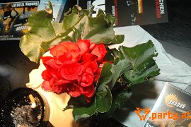 Bild 58