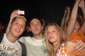 Bild 261
