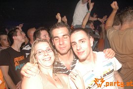 Bild 264