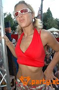 Bild 237