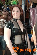Bild 455