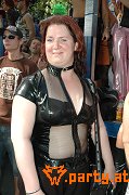 Bild 456
