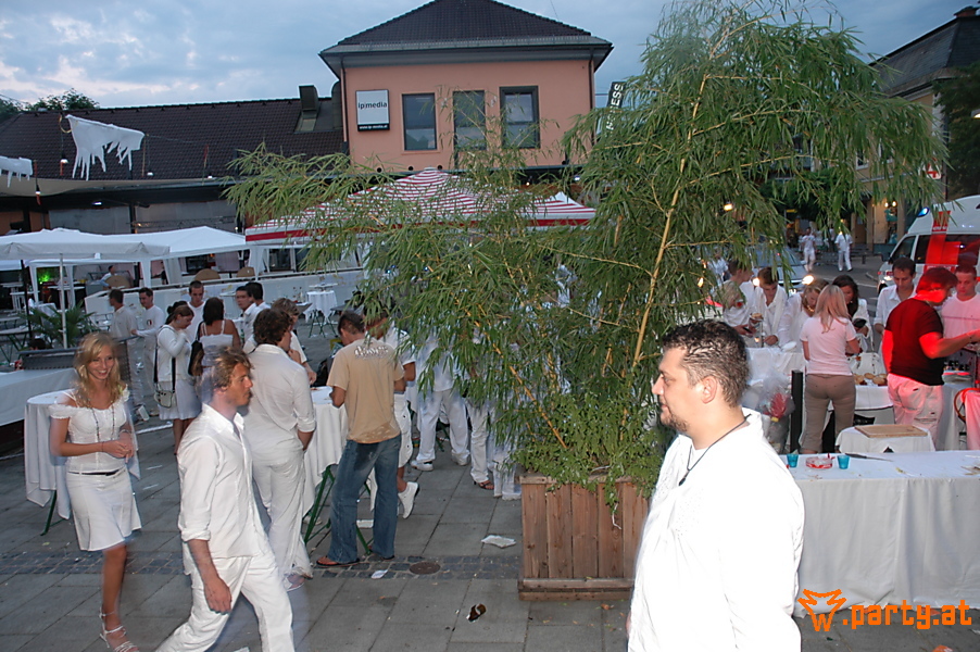 Bild 302