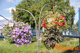 Bild 51