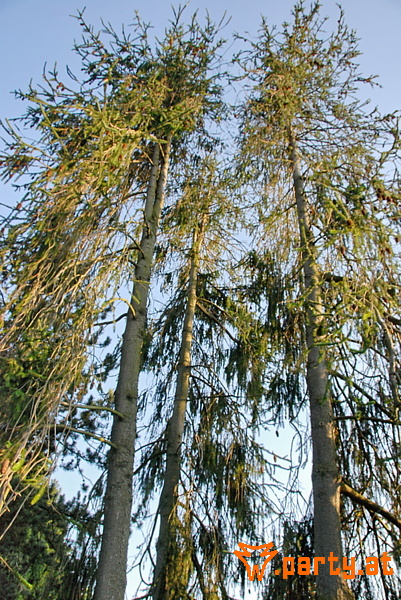 Bild 73