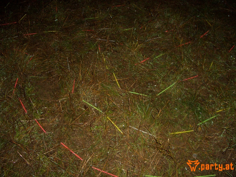 Bild 104