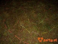 Bild 104