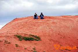 Bild 81