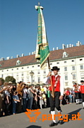 Bild 75
