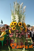 Bild 188