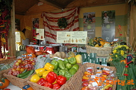 Bild 229