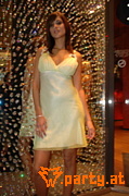 Bild 233