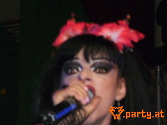 Bild 81