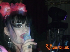 Bild 97