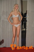 Bild 286