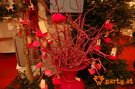 Bild 104