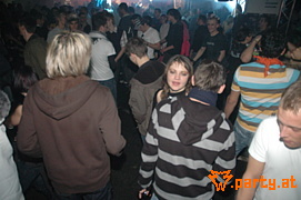 Bild 310