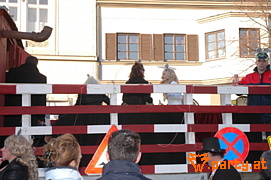 Bild 81
