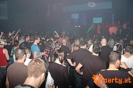Bild 81