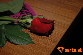 Bild 105