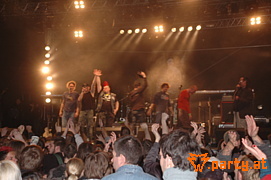 Bild 104