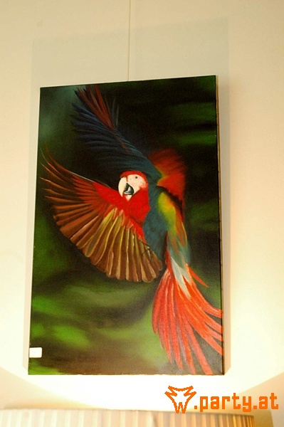 Bild 33