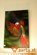 Bild 33