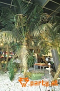 Bild 25