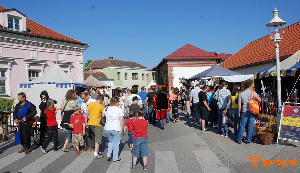 Bild 61