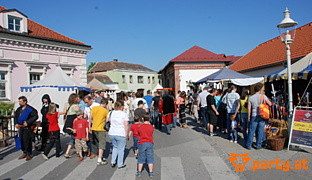 Bild 61