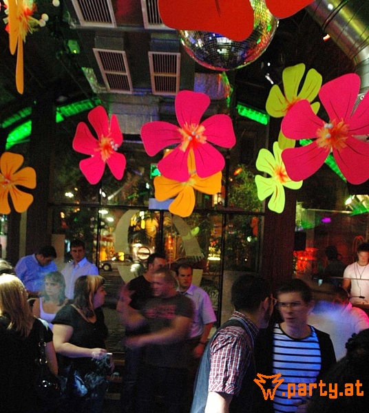 Bild 50