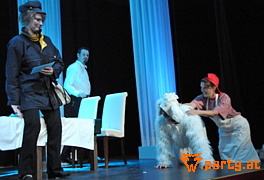 Bild 135