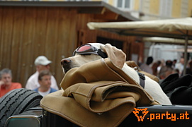 Bild 23