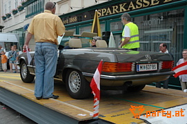 Bild 295