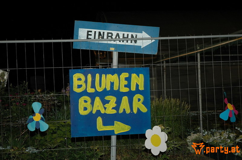 Bild 161