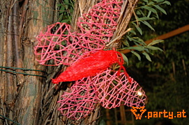 Bild 96