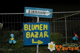 Bild 161