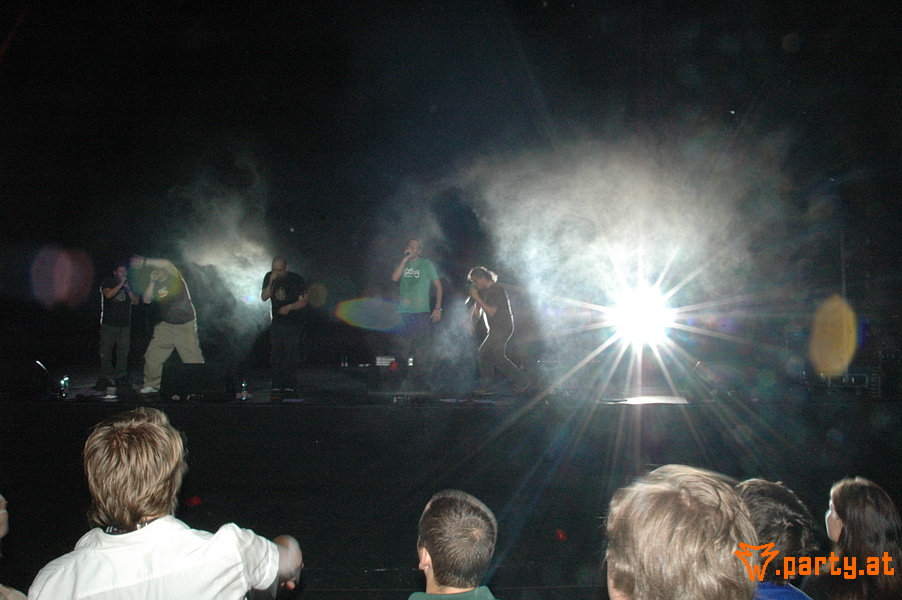 Bild 123
