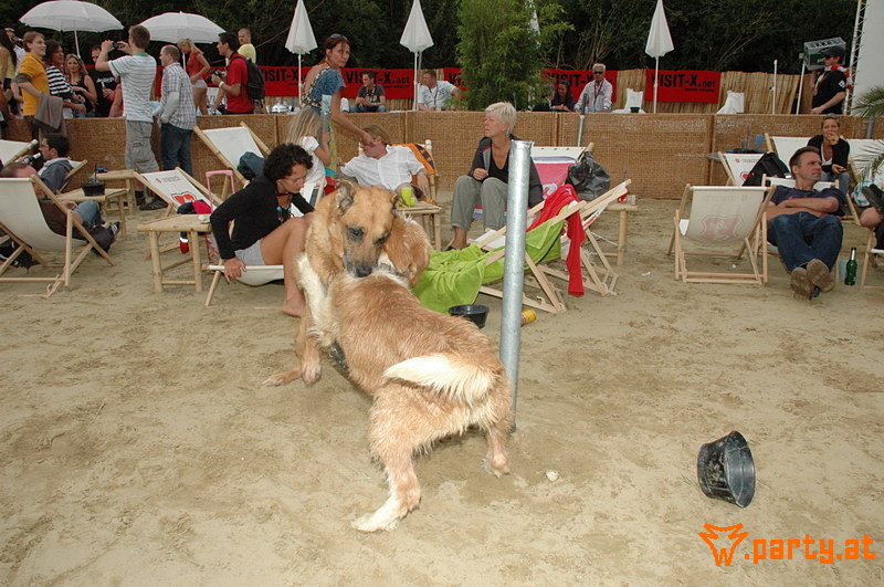 Bild 412