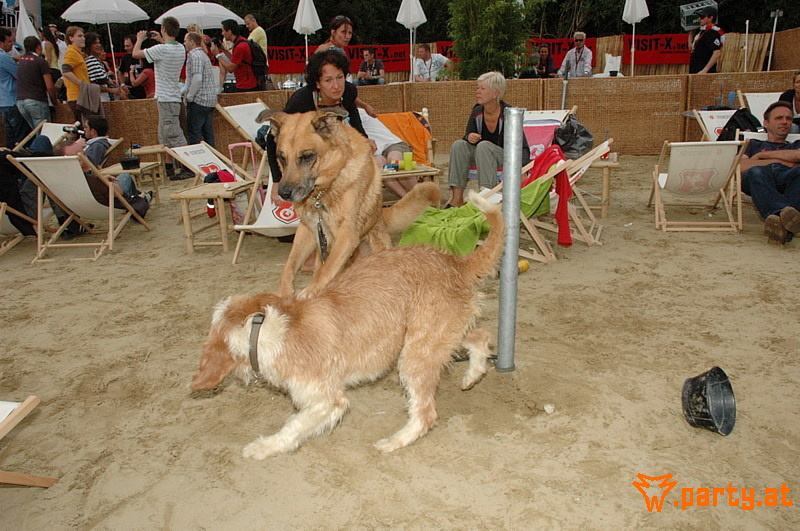Bild 413