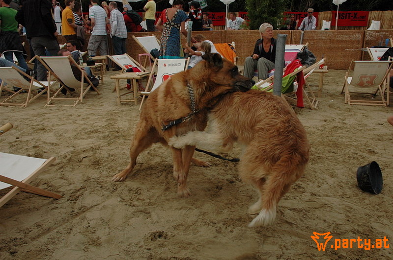 Bild 415