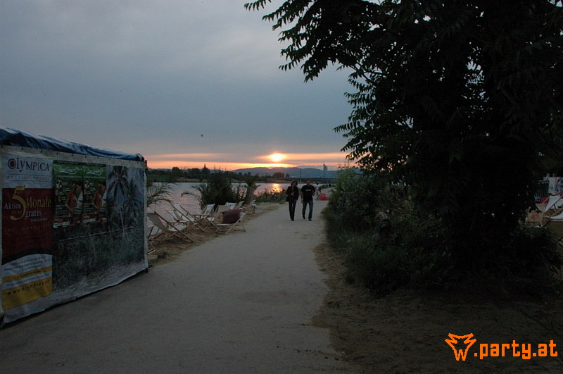 Bild 533