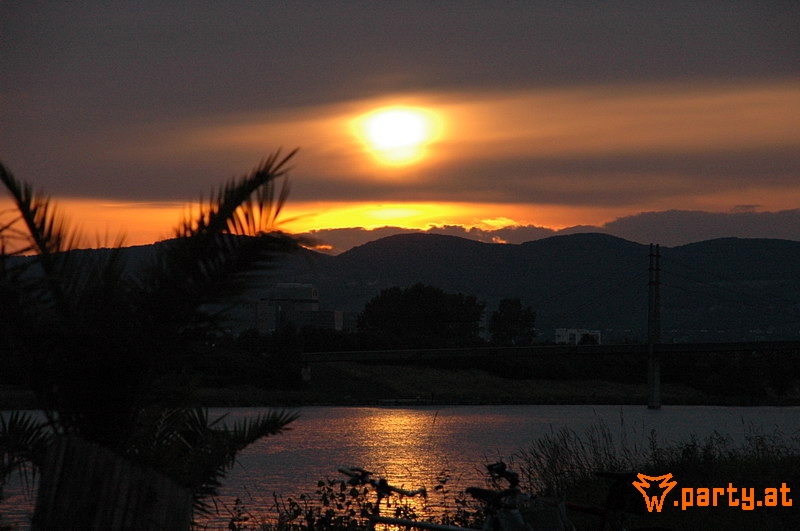 Bild 535