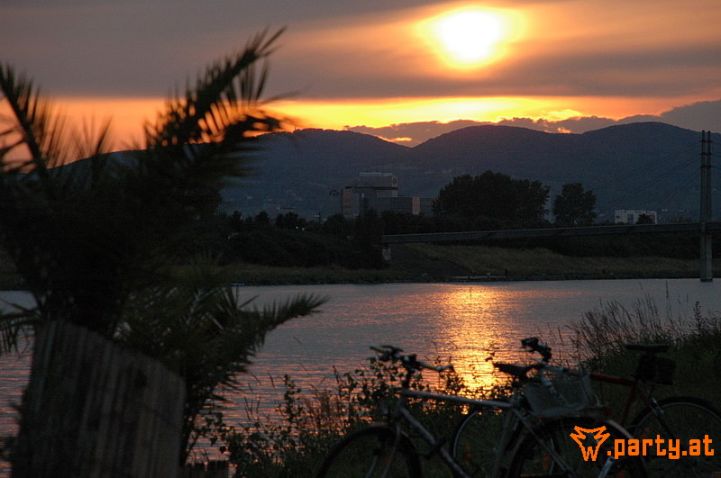 Bild 536