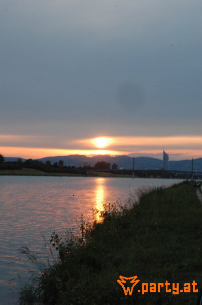 Bild 538