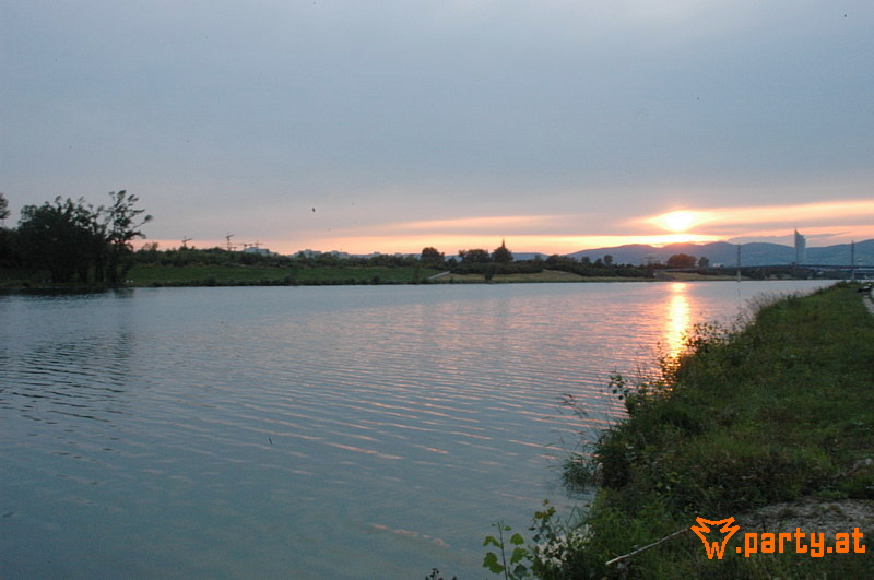 Bild 539