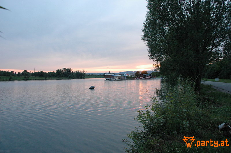 Bild 556