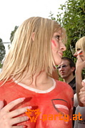 Bild 241