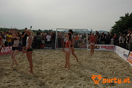Bild 282